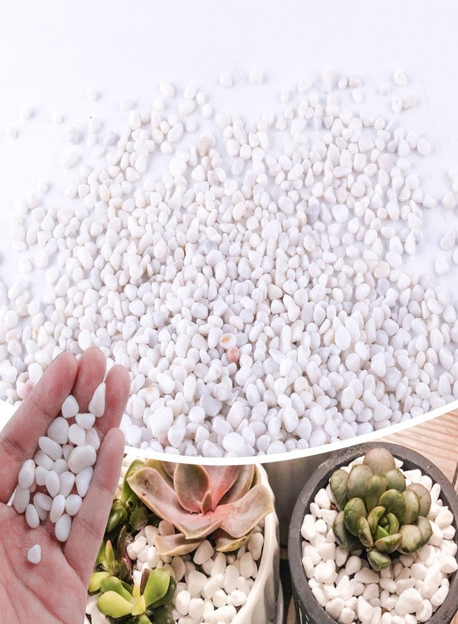 CJGQ 2.4lb 1/4" Small White Rocks for Plants,Potting,Succulents Aquarium Fish Tank Garden Vases Decorative Pebbles Gravel Rocks Stones - Image 1